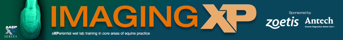 ImagingXP Lecture Notes